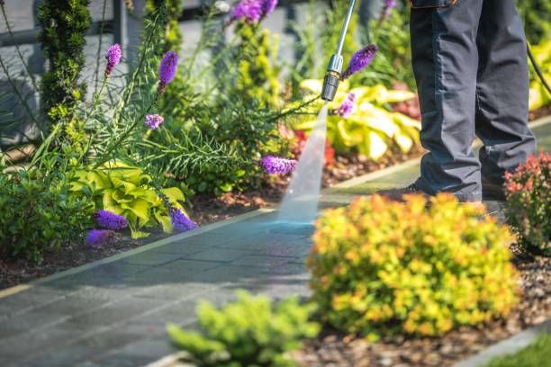 Best Roof Washing  in Torrance, CA