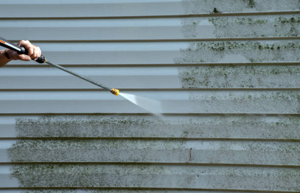 Best Driveway Pressure Washing  in Torrance, CA